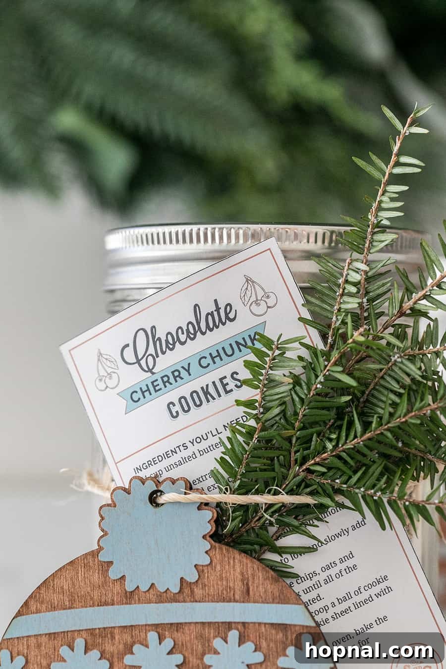 A single printable tag specifically designed for cookie in a jar gifts, with clear instructions and aesthetic appeal.