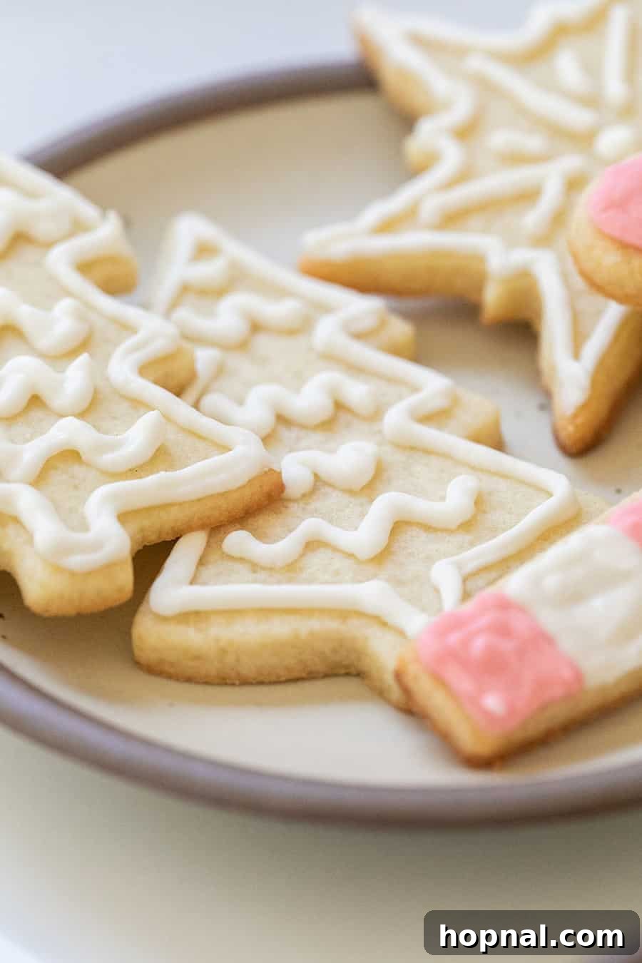 Sugar-free Christmas cookie cut-out decorated with frosting