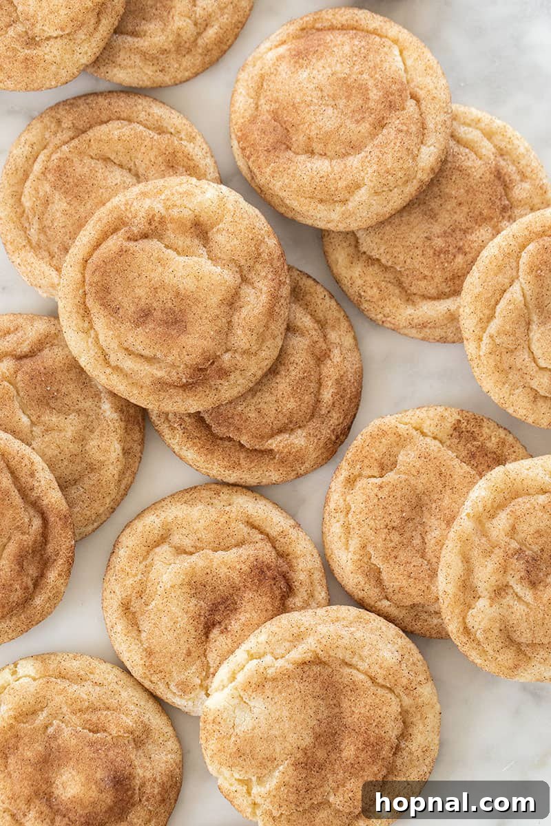 Chewy Snickerdoodle Christmas cookies dusted with cinnamon sugar