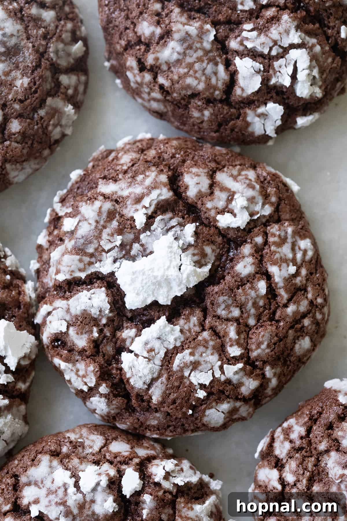 The best chocolate crinkle cookies dusted with powdered sugar