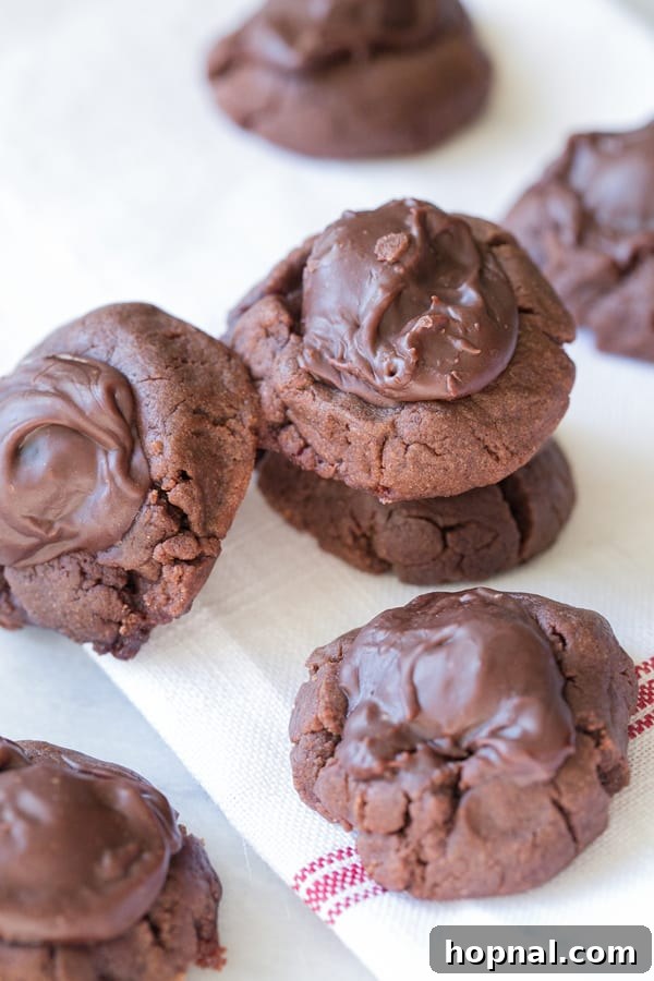 Chocolate cherry Christmas cookie recipes with a cherry in the center