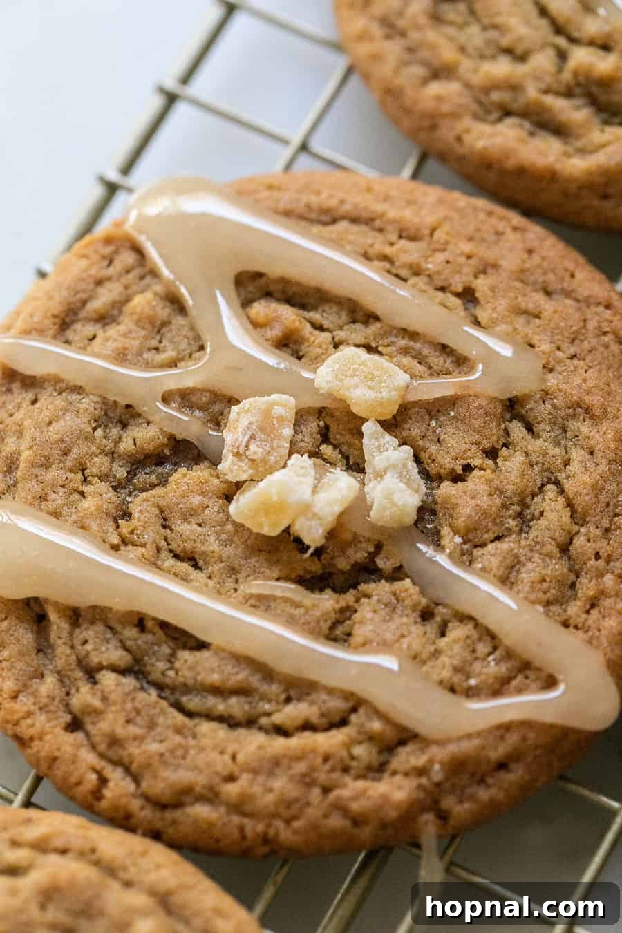 Chewy Ginger Cookies coated in sugar