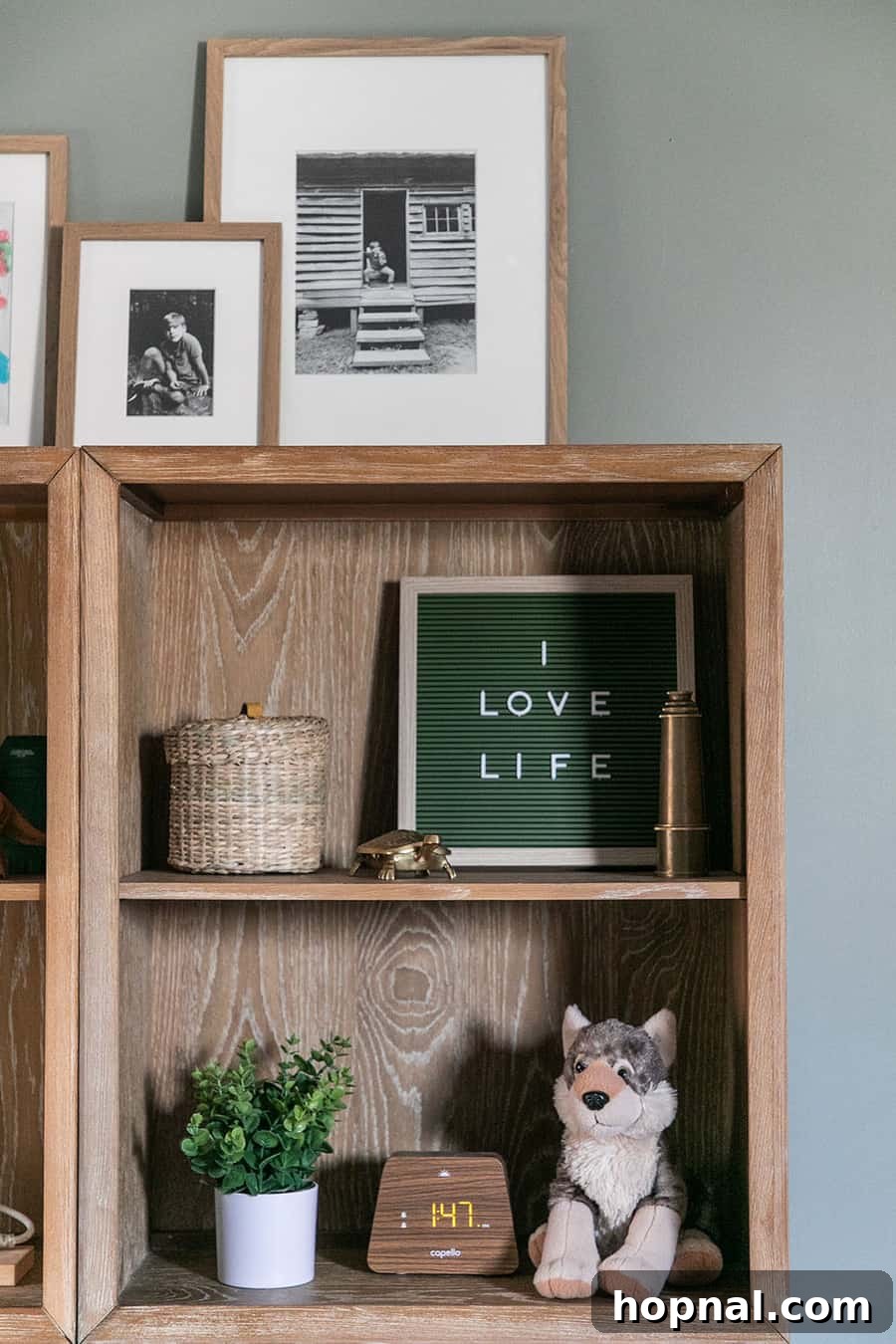 A charming wooden shelf from Pottery Barn, filled with decor, complements the woodsy theme of a kids bedroom in a cozy cabin.