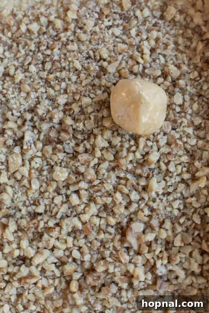 Cookie dough balls freshly rolled in finely chopped walnuts, ready for baking.