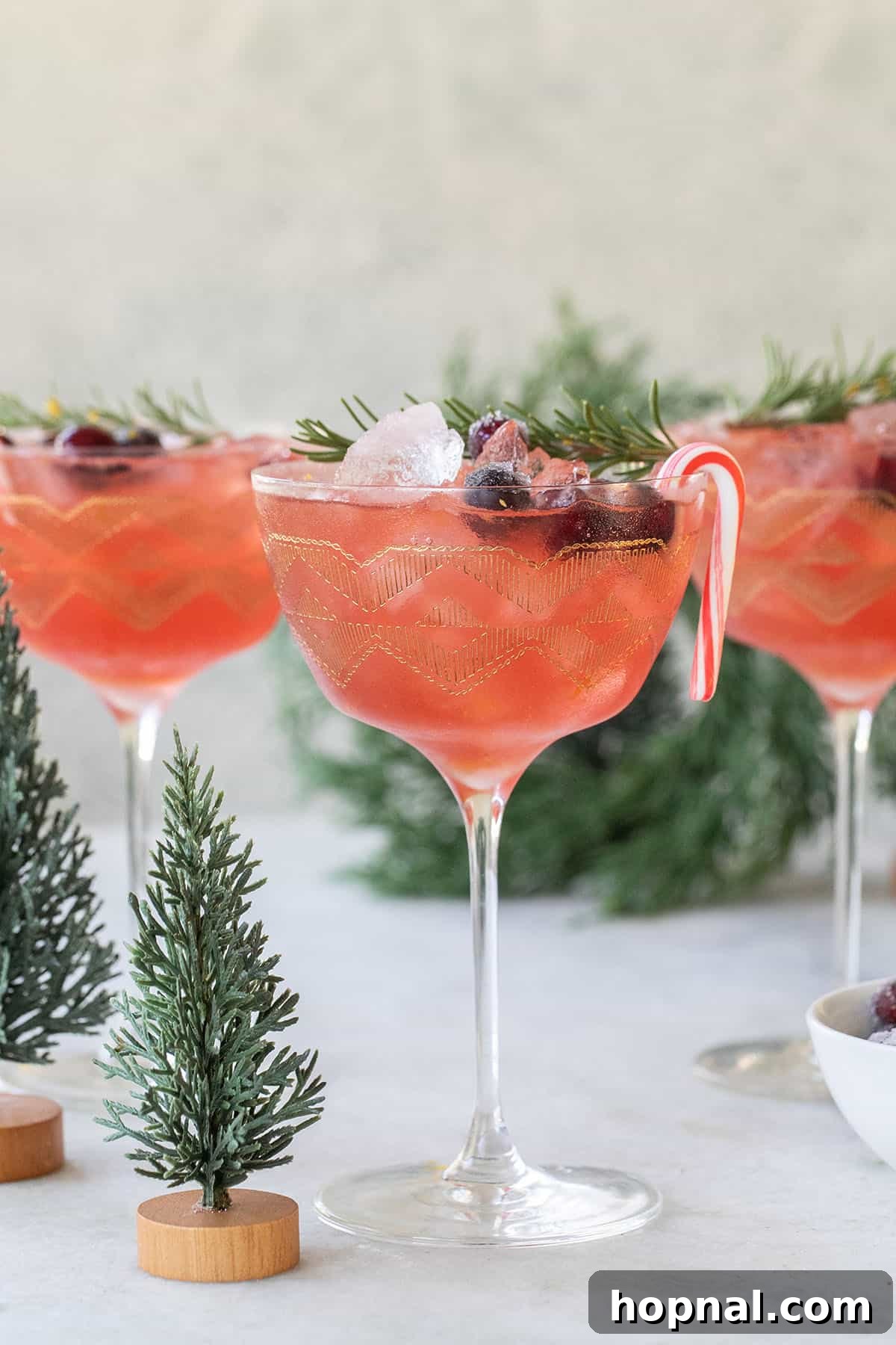 Elegant Christmas martini with fresh cranberries and a sprig of rosemary.