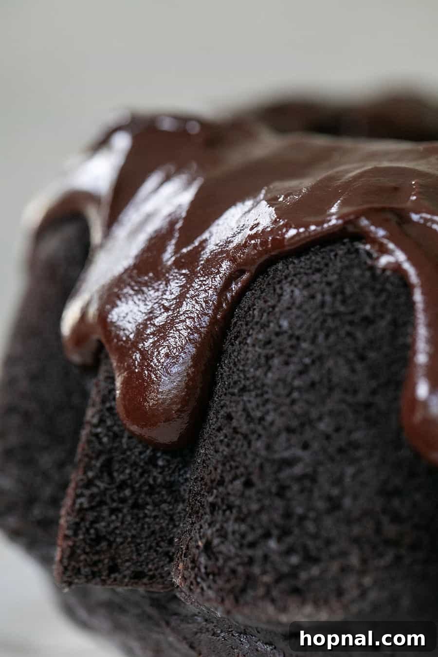 A stunning chocolate bundt cake generously covered with dripping chocolate frosting, making it an irresistible dessert.
