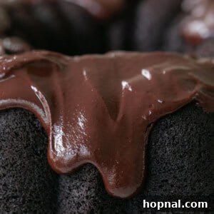 chocolate bundt cake with ganache