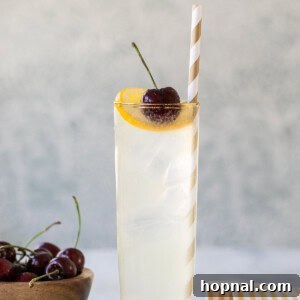 Tom Collins Cocktail