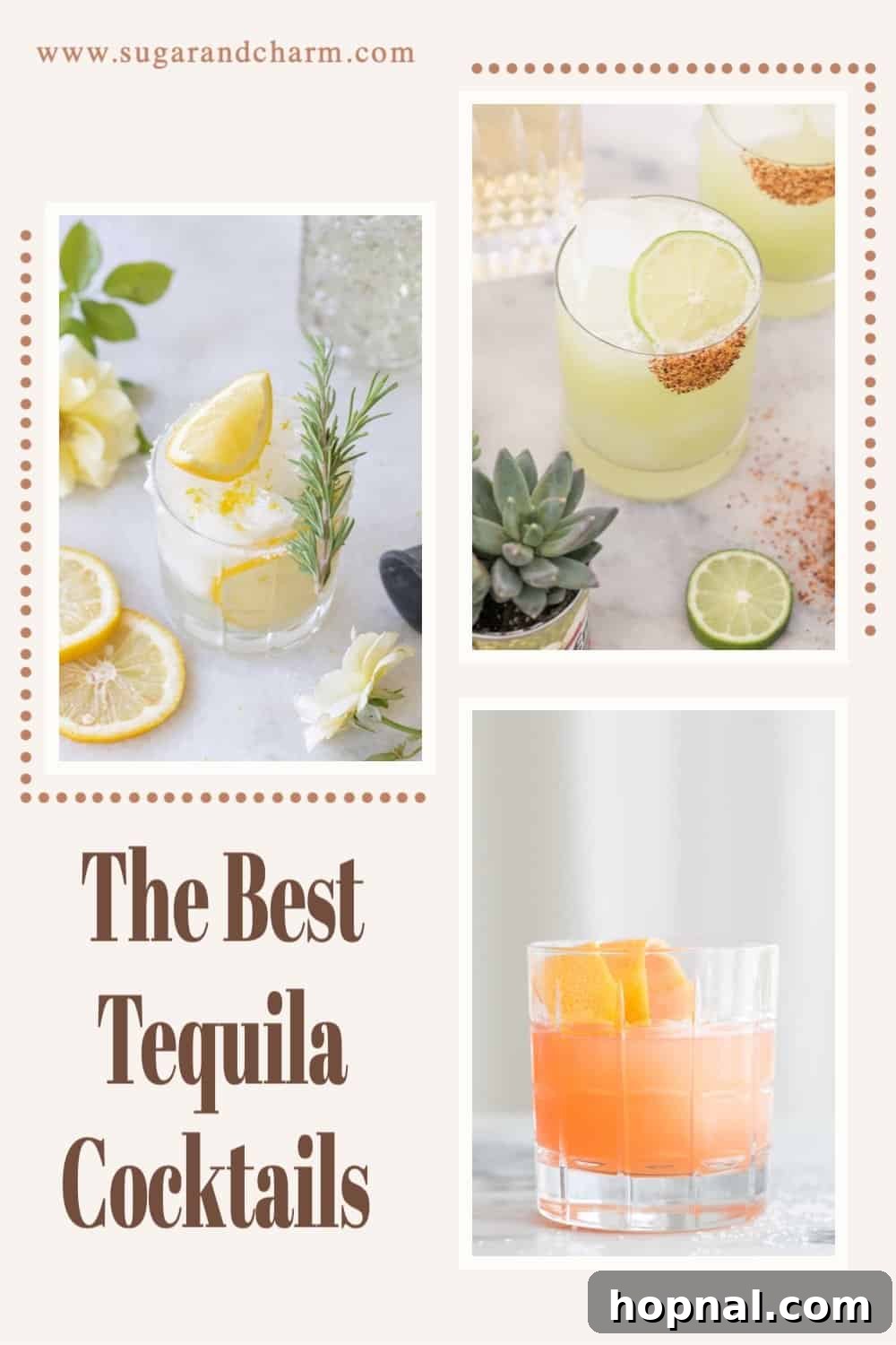 A diverse and beautifully arranged spread of the best tequila cocktails, garnished and ready for tasting.