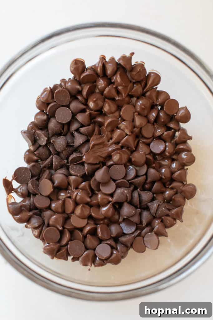 Melted chocolate chips in a bowl.