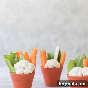 vegetable and hummus pots