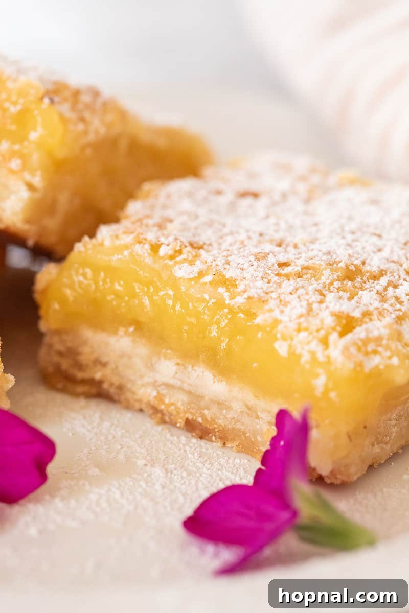 Perfectly baked lemon bars, dusted with powdered sugar and ready to be served.