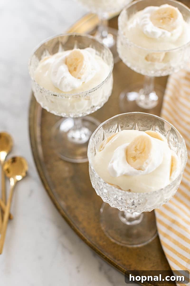 Creamy banana pudding served in an elegant glass, placed on a golden tray, highlighting its delicious layers and perfect presentation.