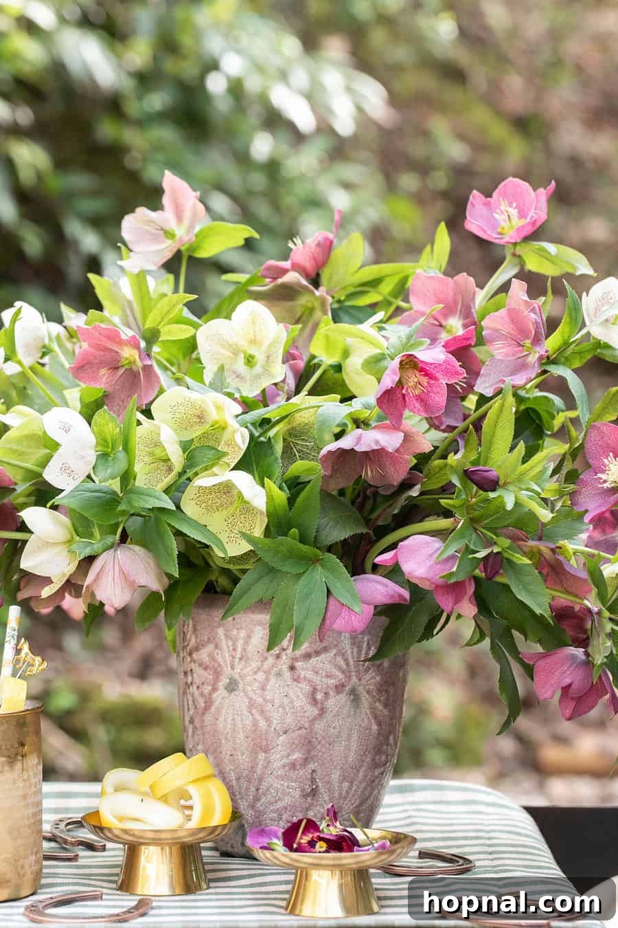 Vase overflowing with beautiful Lenten Roses, creating a charming display for a Kentucky Derby party.