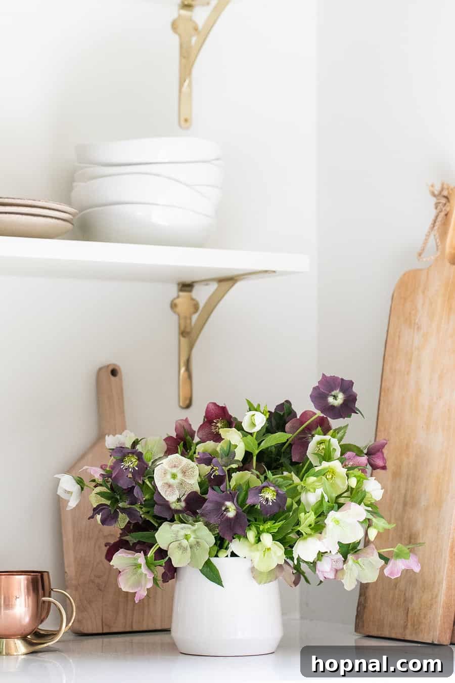 Hellebore in a white vase in a kitchen 
