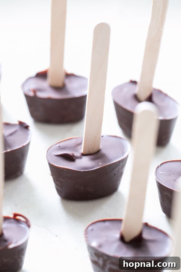 Hot chocolate sticks with wooden stirrers.