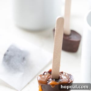 A finished hot chocolate on a stick recipe card image.