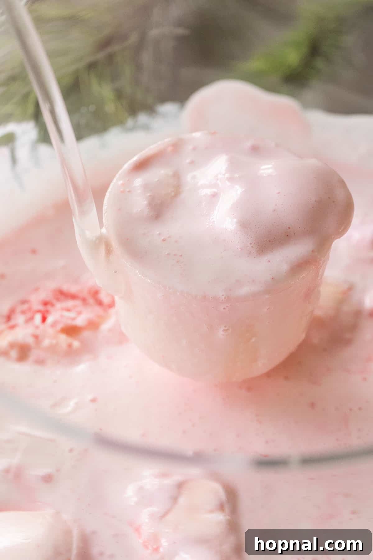 Frosted Peppermint Punch 6 Ice cream punch for Christmas, served in clear glasses with candy cane rims.