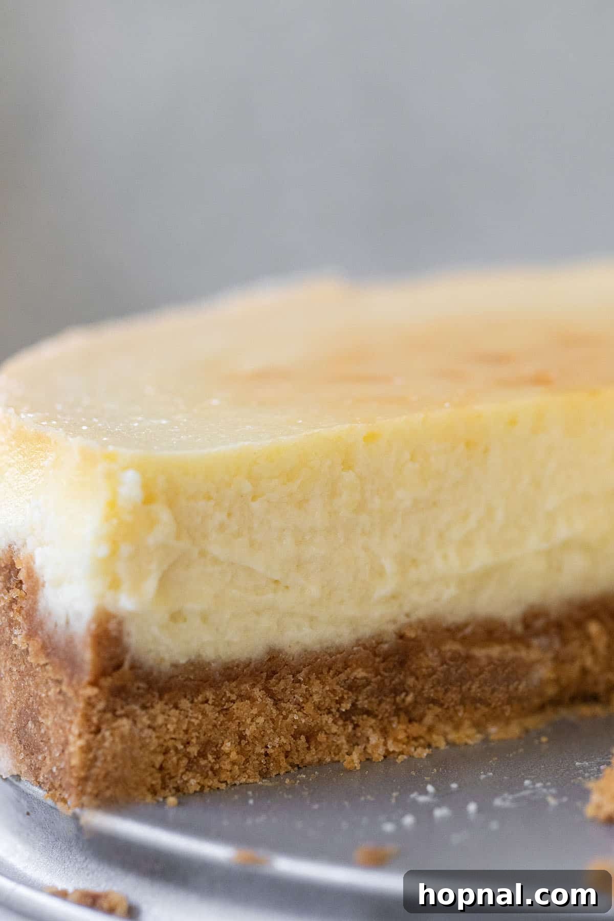 Irresistible Homemade Cheesecake 11 A beautifully crafted cheesecake, showcasing a thick, golden graham cracker crust and smooth, creamy filling.