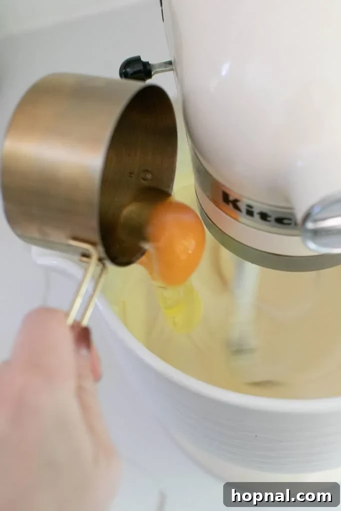 Irresistible Homemade Cheesecake 6 Fresh eggs are being added into a blender with other ingredients, essential for creating a smooth and creamy cheesecake batter.