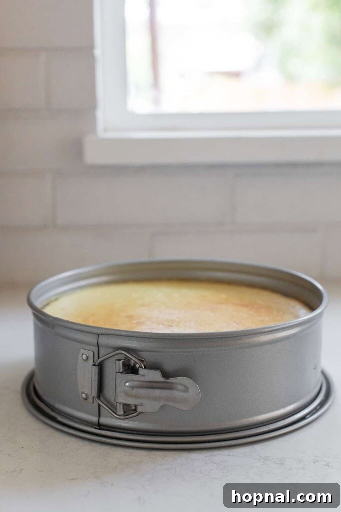 Irresistible Homemade Cheesecake 9 A beautifully baked cheesecake, golden brown on top, cooling slowly in the oven with the door slightly ajar.