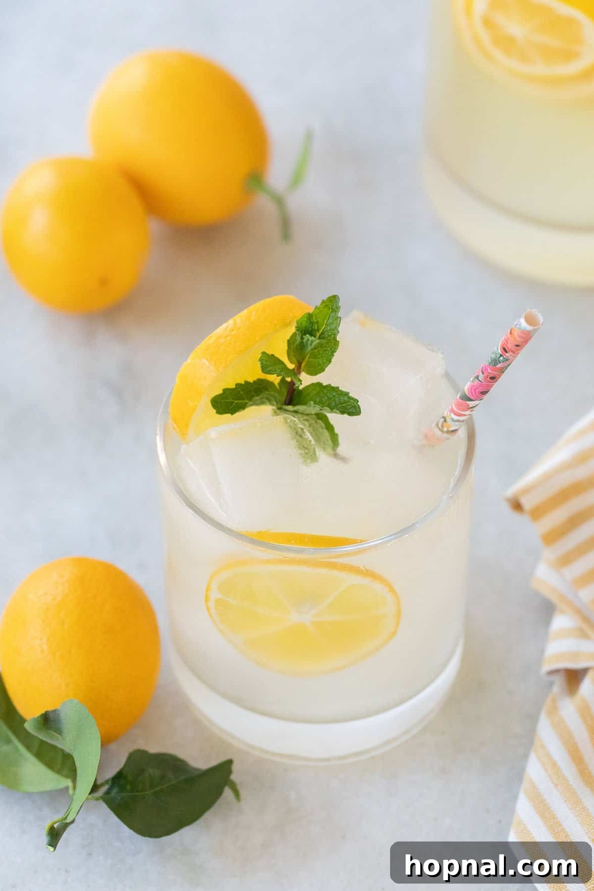 Vodka lemonade recipe with fresh lemon slices.