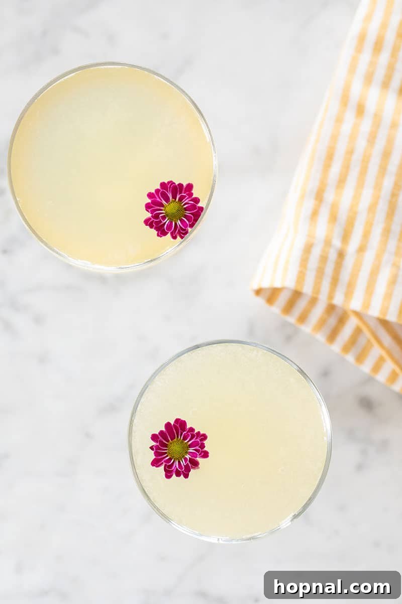Bee's Knees cocktail, a classic gin drink.