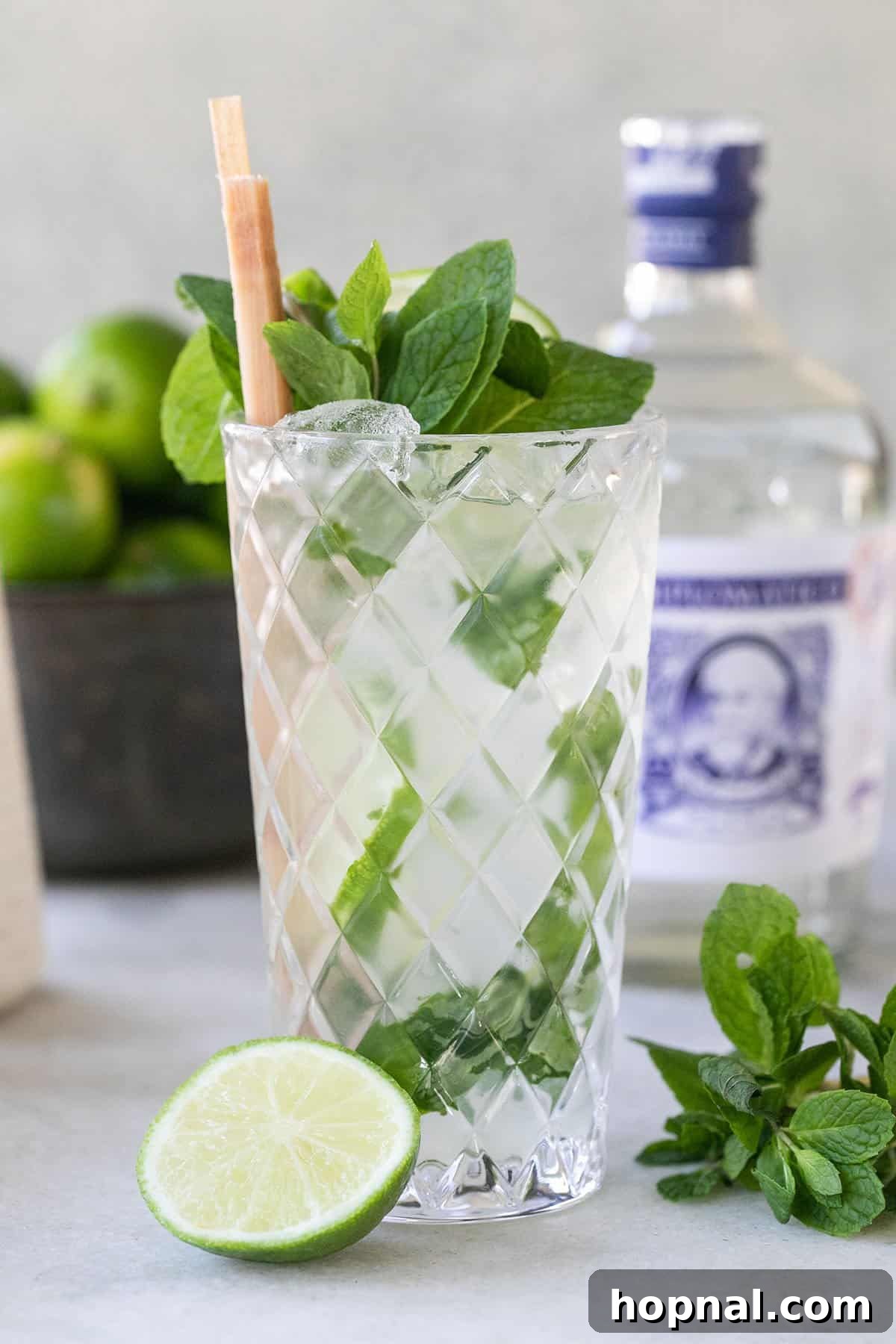 Classic mojito in a highball glass with mint and lime.