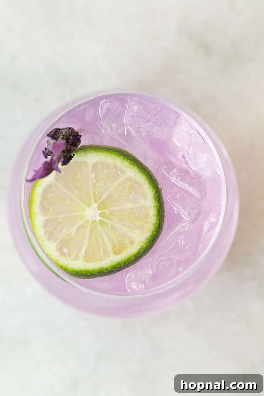 Lavender Gin and Tonic Punch with floral garnishes.