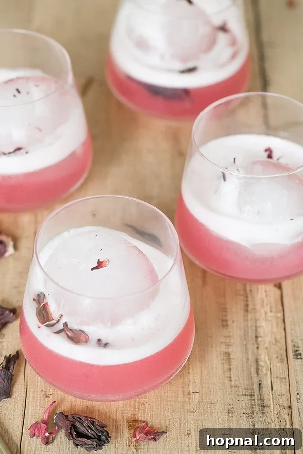 Hibiscus gin sour with frothy top.