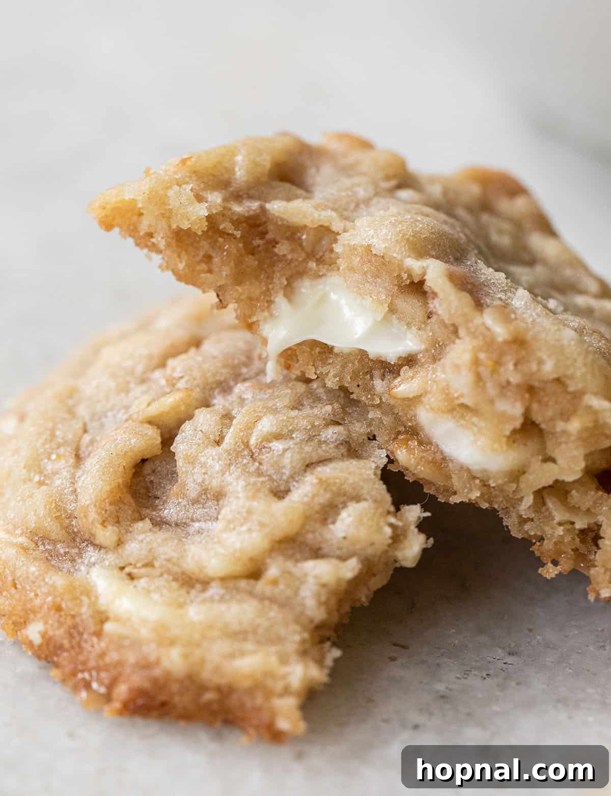 Ultimate Kitchen Sink Cookies 7 A single, perfectly baked Kitchen Sink Cookie, featuring prominent white chocolate chips and a rich, chewy texture.