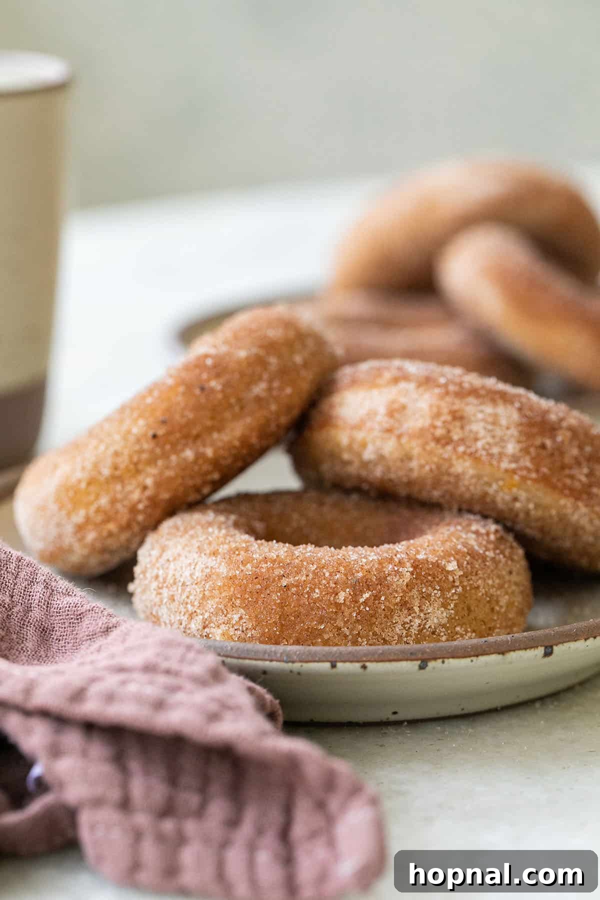Close-up of golden baked apple cider donuts, perfectly shaped and inviting, stacked on a white plate.