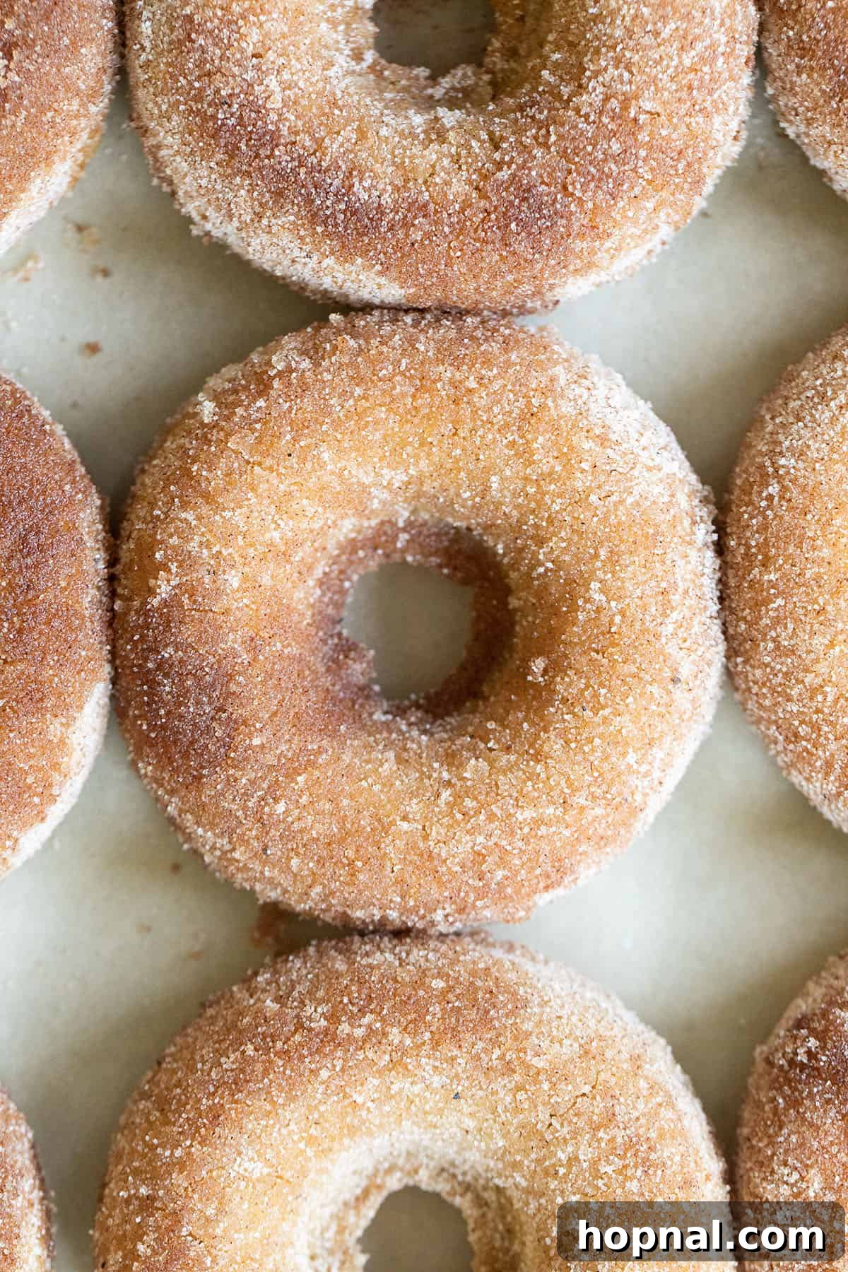 Homemade baked donuts coated in a shimmering layer of cinnamon and sugar, arranged beautifully for serving.