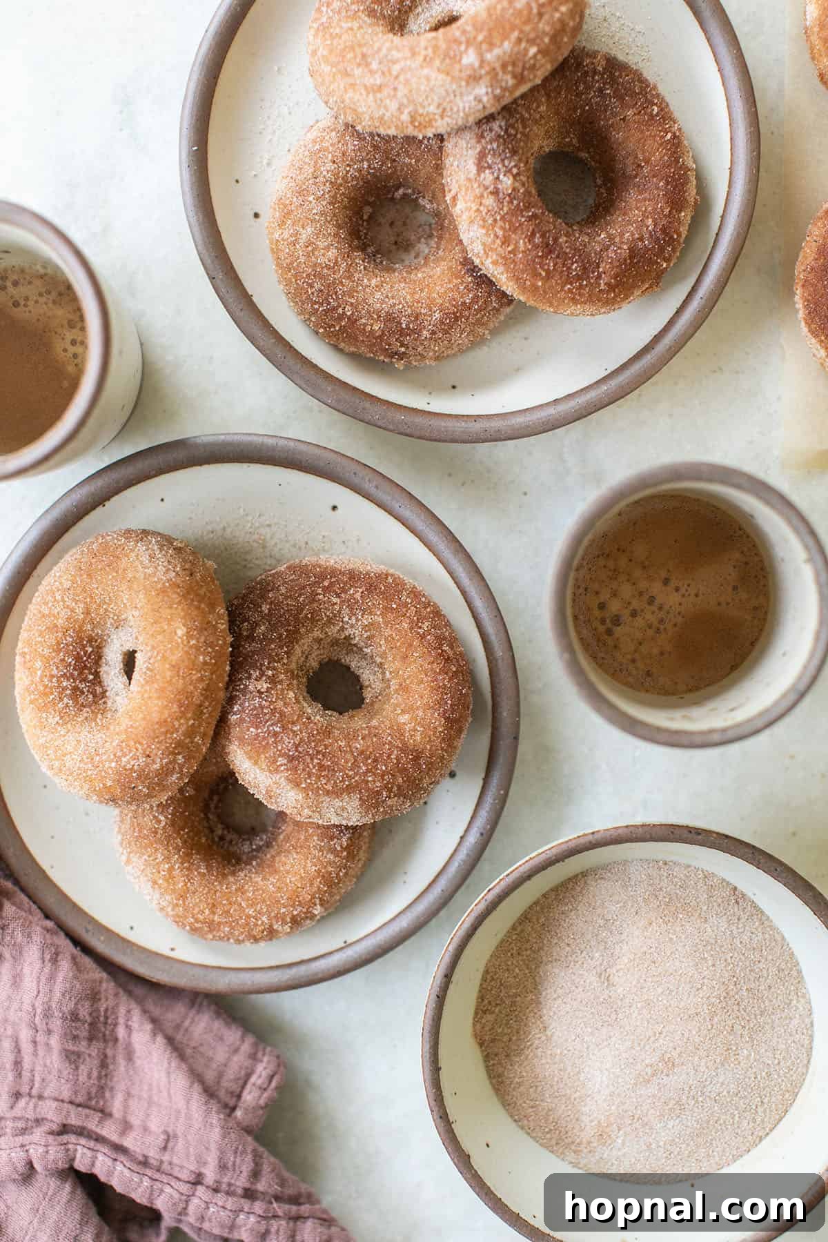 A plate piled high with baked apple cider donuts, dusted with cinnamon sugar, ready to be enjoyed.