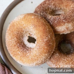 Delicious baked apple cider donuts, coated in sugar and spice.