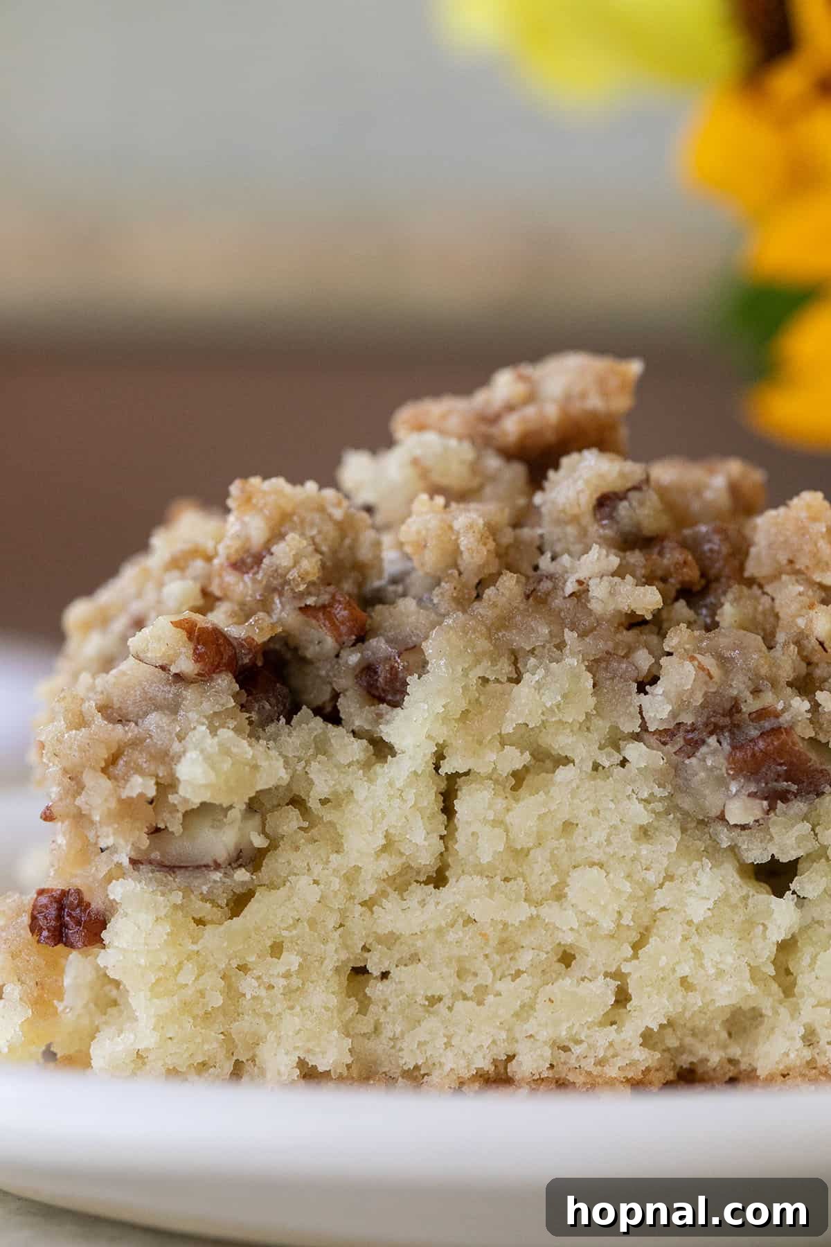 Delicious crumb cake with a generous crumb topping, featuring a classic New York style look.