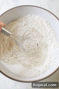 flour, salt, baking powder in a mixing bowl