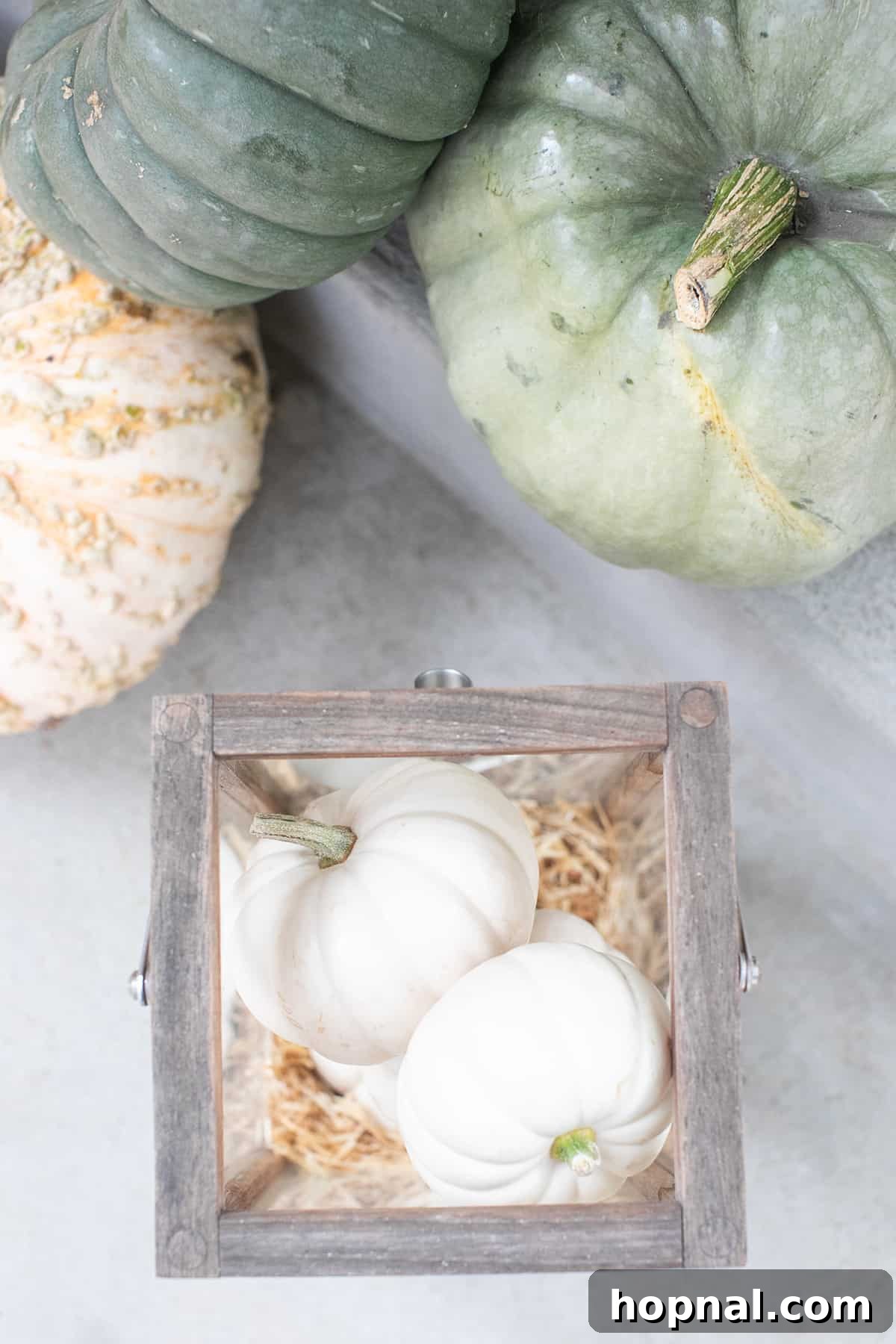 Lantern filled with mini white pumpkins. A charming lantern showcasing an autumn display with mini white pumpkins nestled inside, perfect for cozy fall decor.