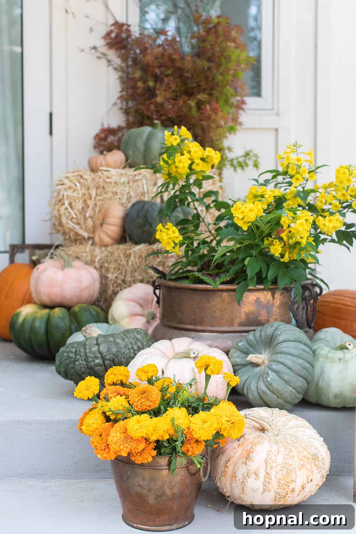 Pumpkin flowers in a copper pot on a front porch. A beautiful arrangement of autumnal flowers and small decorative pumpkins elegantly displayed in a copper pot on a welcoming front porch.