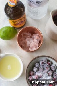 ginger beer, lime juice, vodka, sugared cranberries and a copper mug