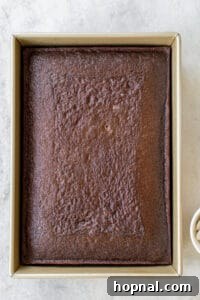 Freshly baked chocolate sheet cake, sliced into cubes for trifles