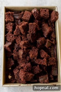 Chocolate cake sliced into small squares, ready for trifle assembly