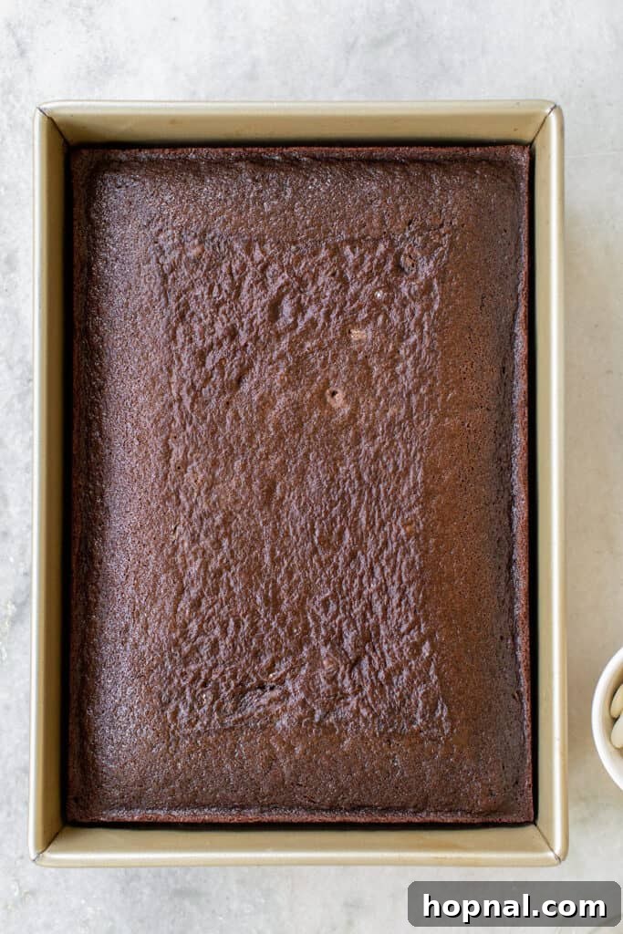 A freshly baked chocolate sheet cake in a rectangular baking pan, serving as the rich base for easy Halloween ghost trifles