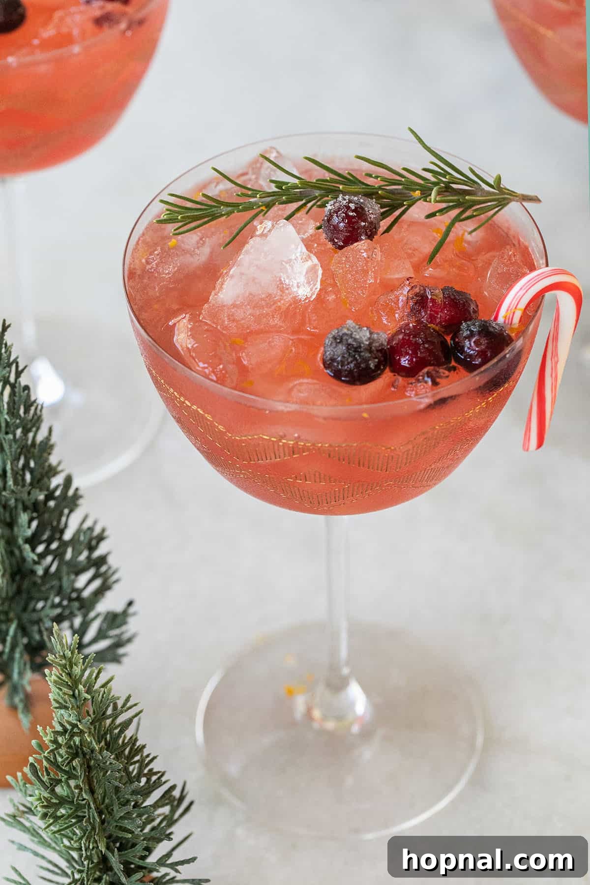Sparkling Christmas Martini 5 A perfectly garnished Christmas martini in a coupe glass, styled with fresh rosemary, vibrant cranberries, and a twist of orange zest.