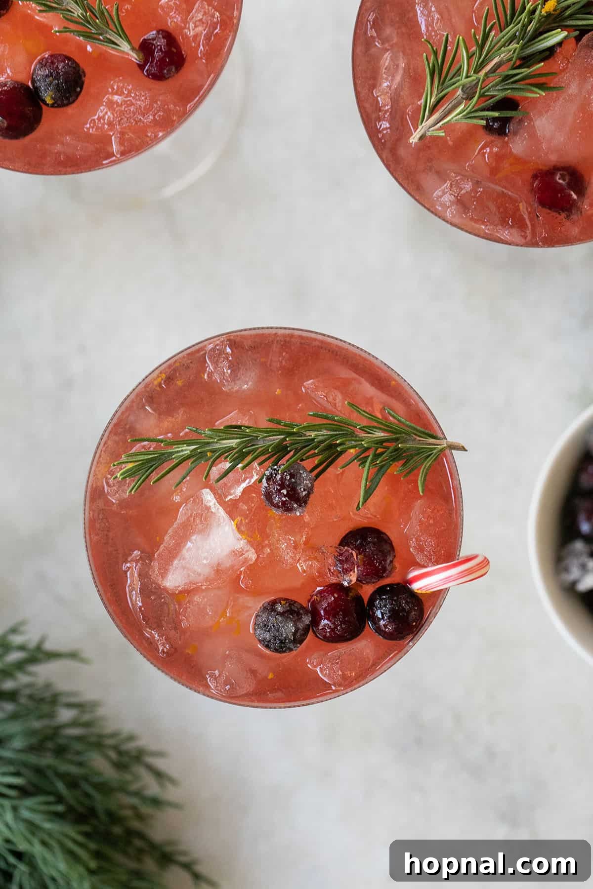 Sparkling Christmas Martini 6 A festive holiday cocktail, the Christmas martini, elegantly presented with a sprig of rosemary and fresh cranberries in a coupe glass, ready for celebration.