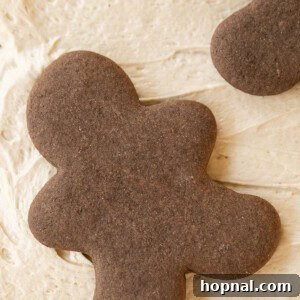 gingerbread buttercream frosting