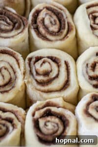 Festive Eggnog Cinnamon Buns 21 overnight cinnamon rolls rising in a pan