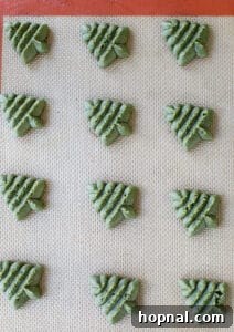 Melt-in-Your-Mouth Spritz Cookies 19 spritz cookies before baking on a baking sheet
