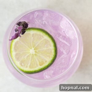 lavender gin and tonic