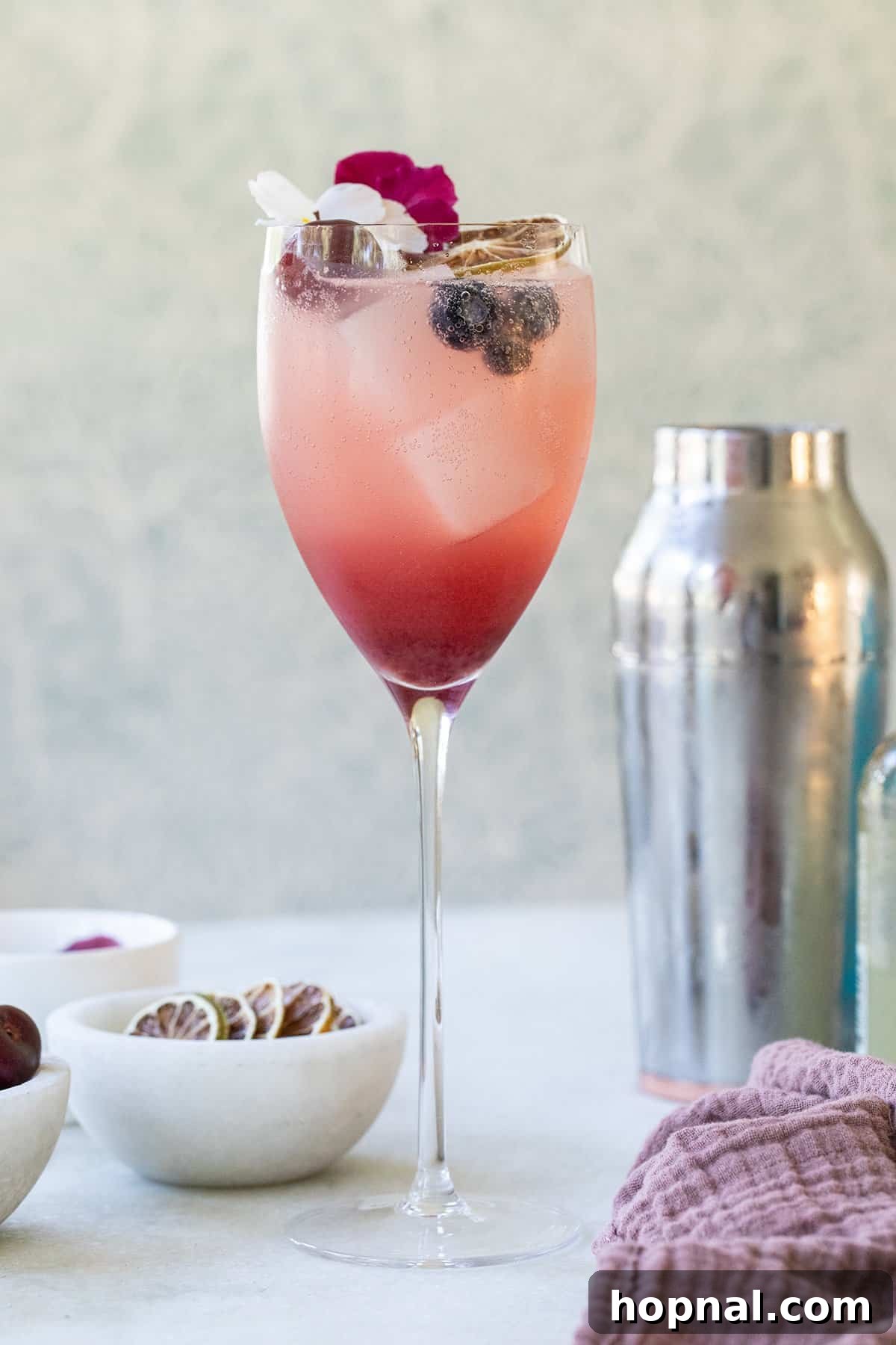 A sparkling Gin Spritz, garnished with citrus and herbs, served in a wine glass.